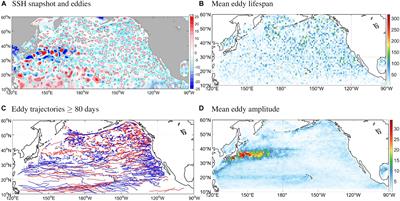 Mesoscale Eddy-Induced Ocean Dynamic and Thermodynamic Anomalies in the North Pacific